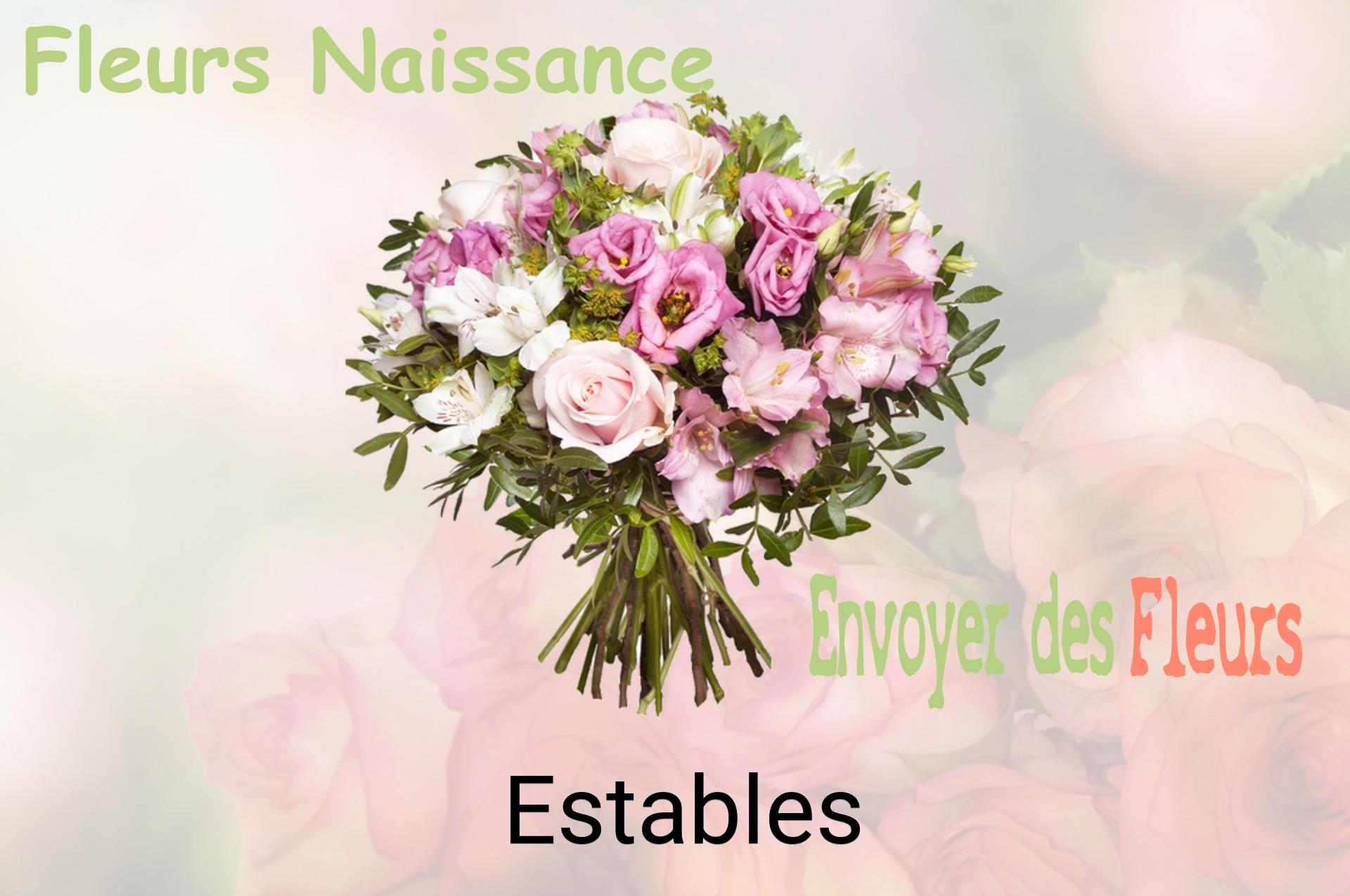 Bouquet de fleurs de naissance livré à Estables